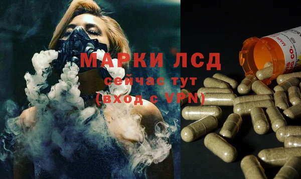 стафф Алзамай