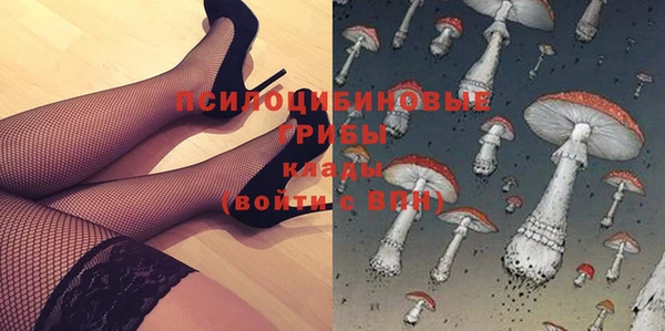 стафф Алзамай