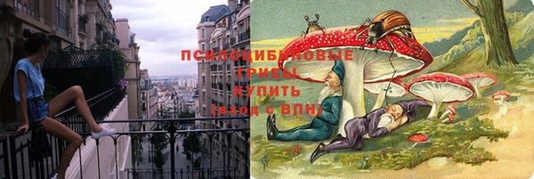 стафф Алзамай
