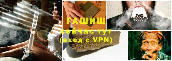 гидра Алексин
