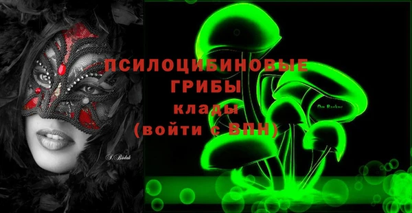 стафф Алзамай