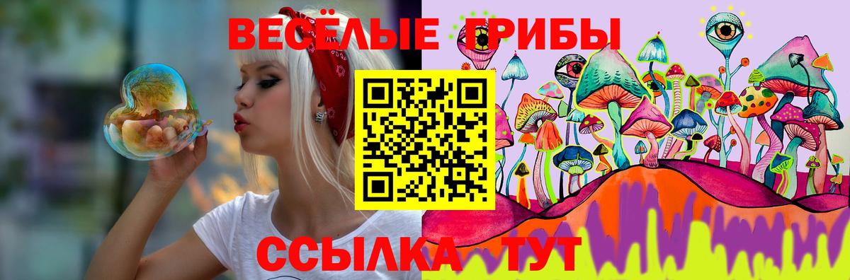 Галлюциногенные грибы Psilocybe  Вход с VPN  Псилоцибиновые грибы мухоморы  Нижнеудинск 